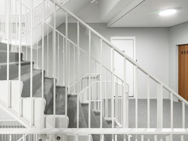 Beeld Sebastian van Damme