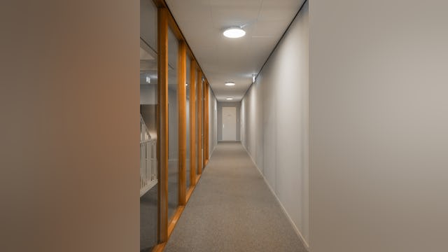 Beeld Sebastian van Damme