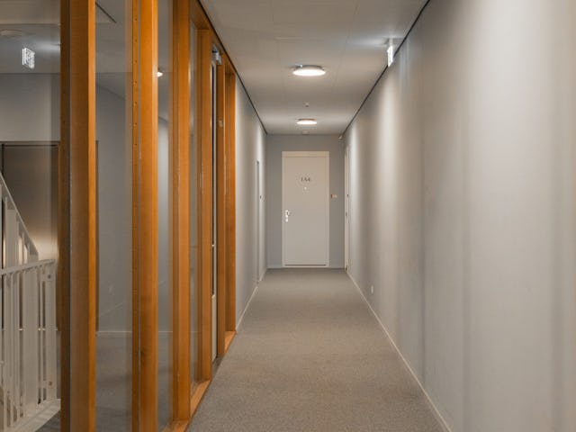 Beeld Sebastian van Damme