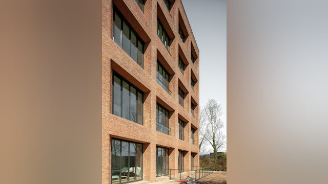 Beeld Sebastian van Damme