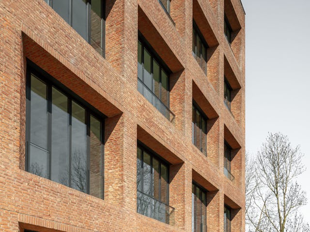 Beeld Sebastian van Damme