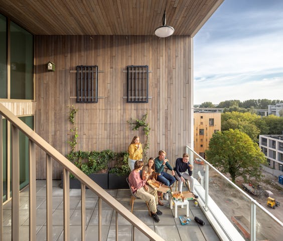 Dakterras van de studentenhuisvesting van de Alliantie. Beeld Thijs Wolzak