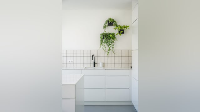 Beeld Tom Philip Janssen