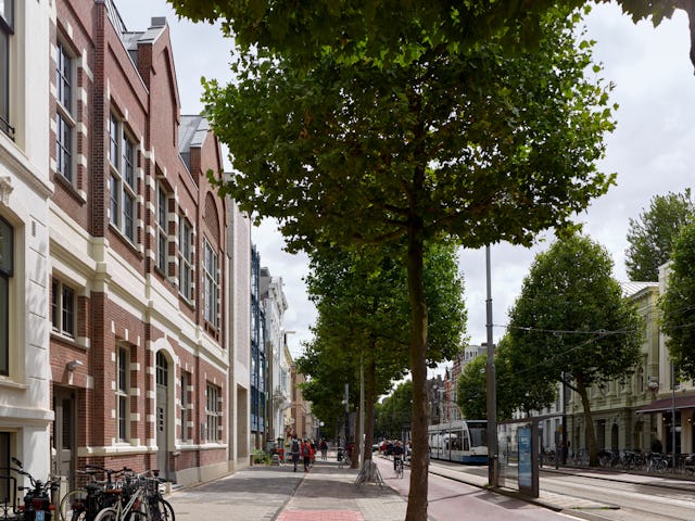De Plantage Middenlaan met links het Holocaustmuseu en rechts de Hollandse Schouwburg. Beeld Stefan Mülle