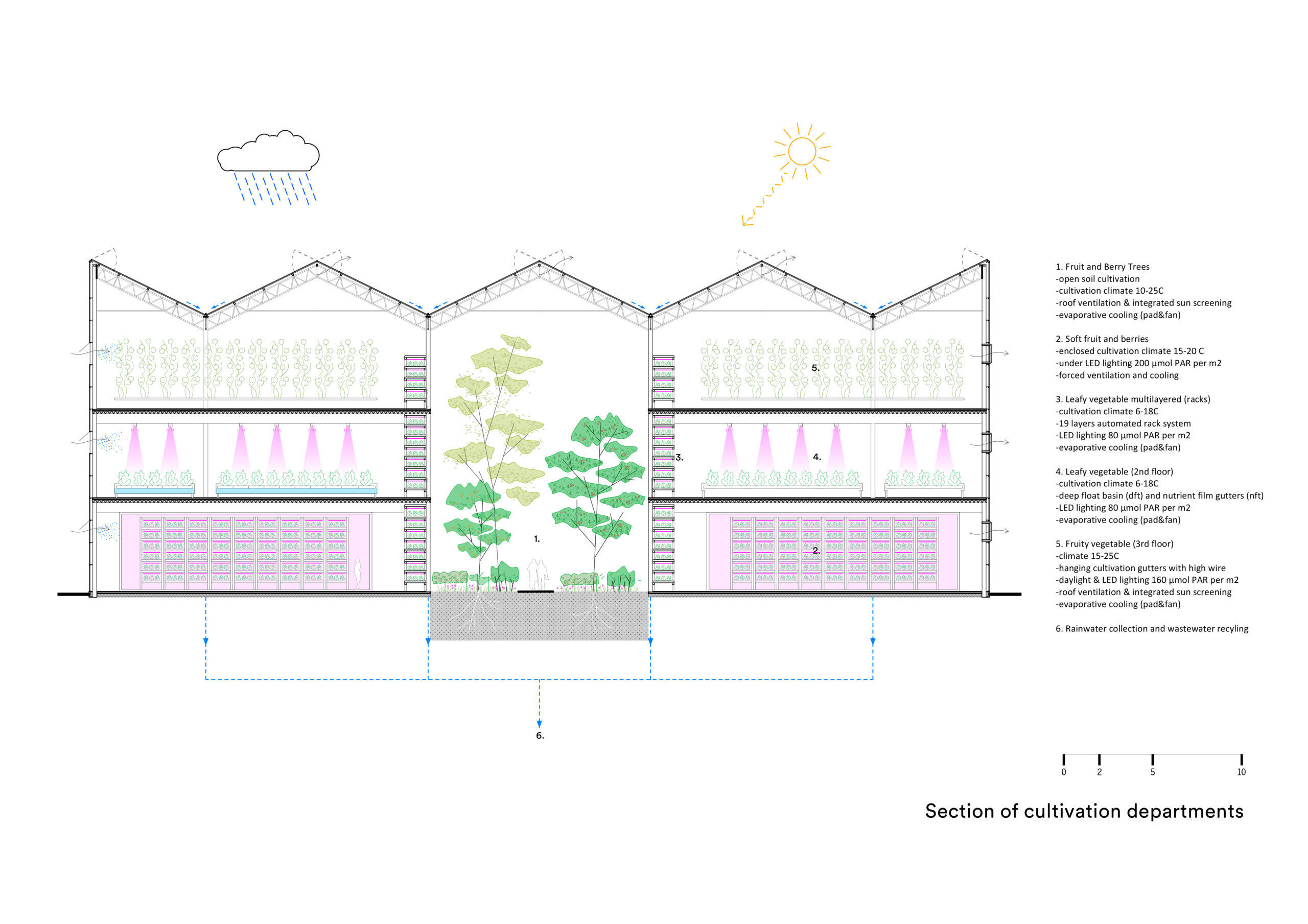 Cultivatie, doorsnede