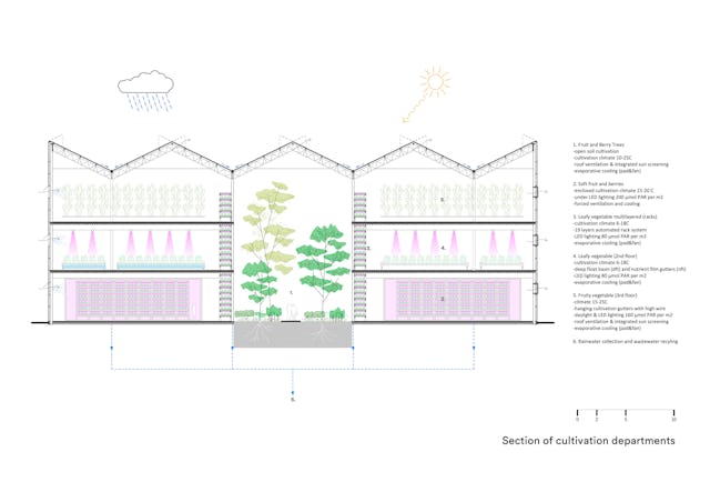 Cultivatie, doorsnede