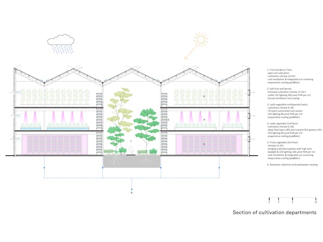 Cultivatie, doorsnede