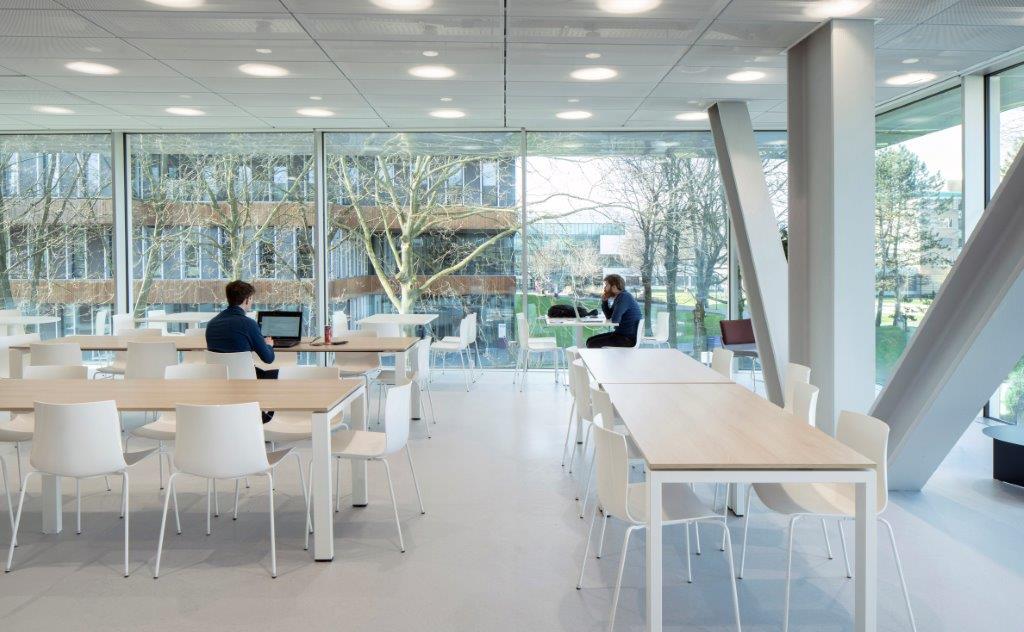 Beeld Frank Hanswijk