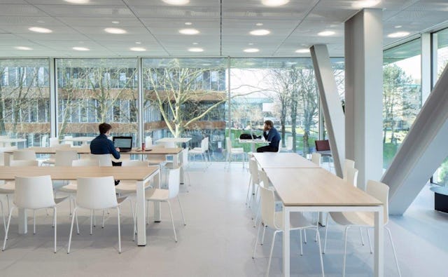 Beeld Frank Hanswijk