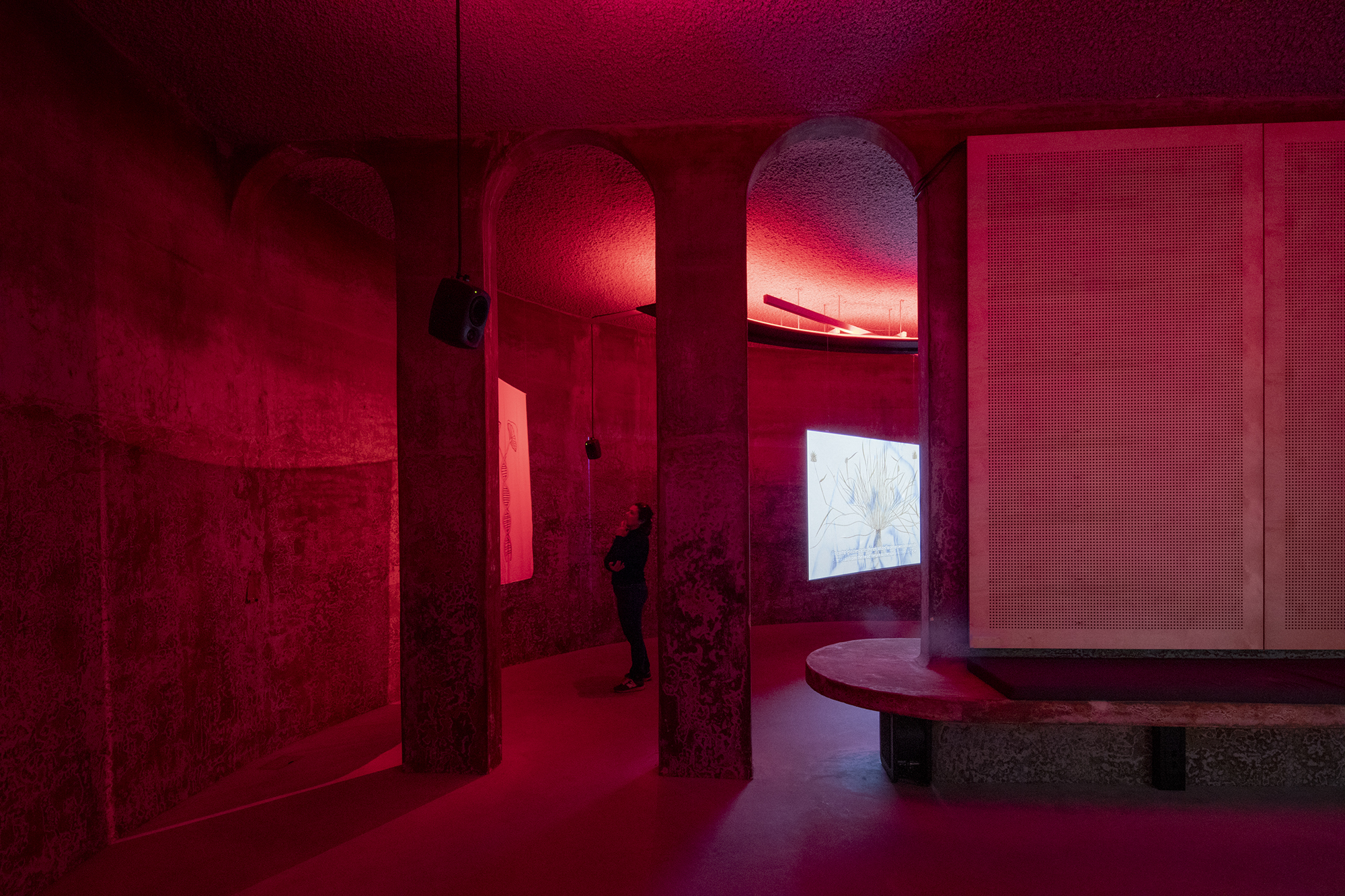 Beeld Daria Scagliola & Stijn Brakkee