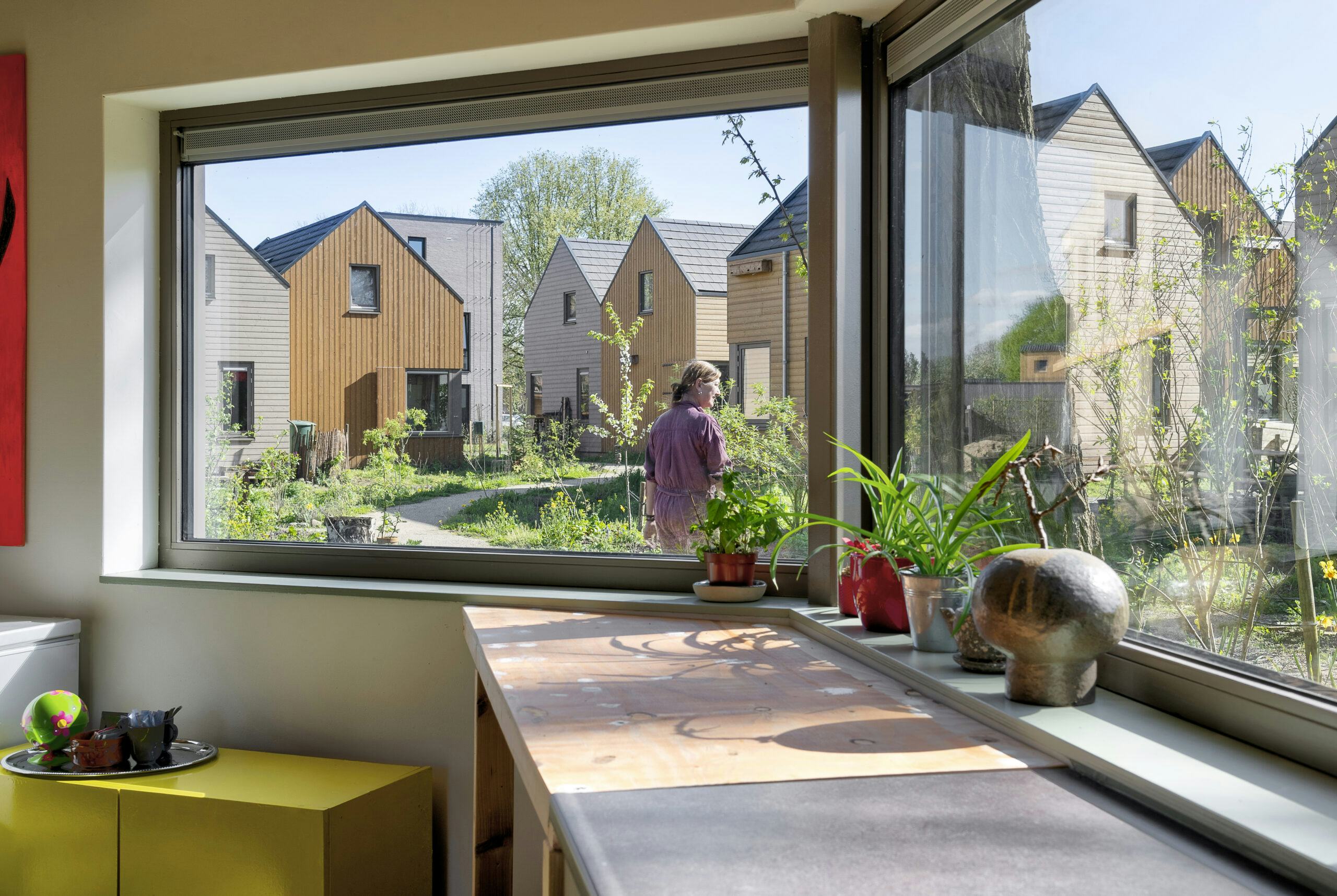 Het tiny house-project Groeneweerd in Deventer. Beeld Jonah Samyn