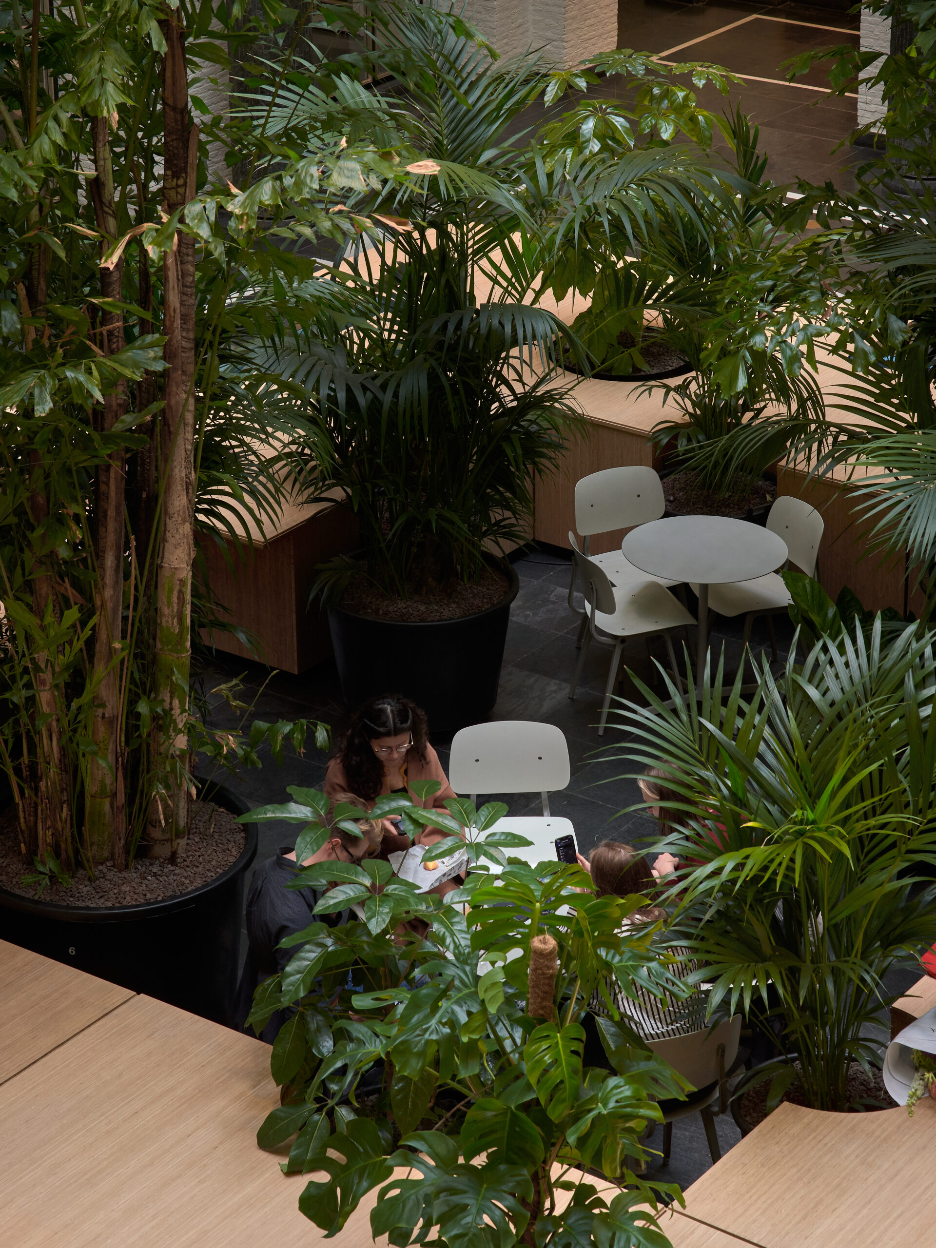 Beeld Max Hart Nibbrig