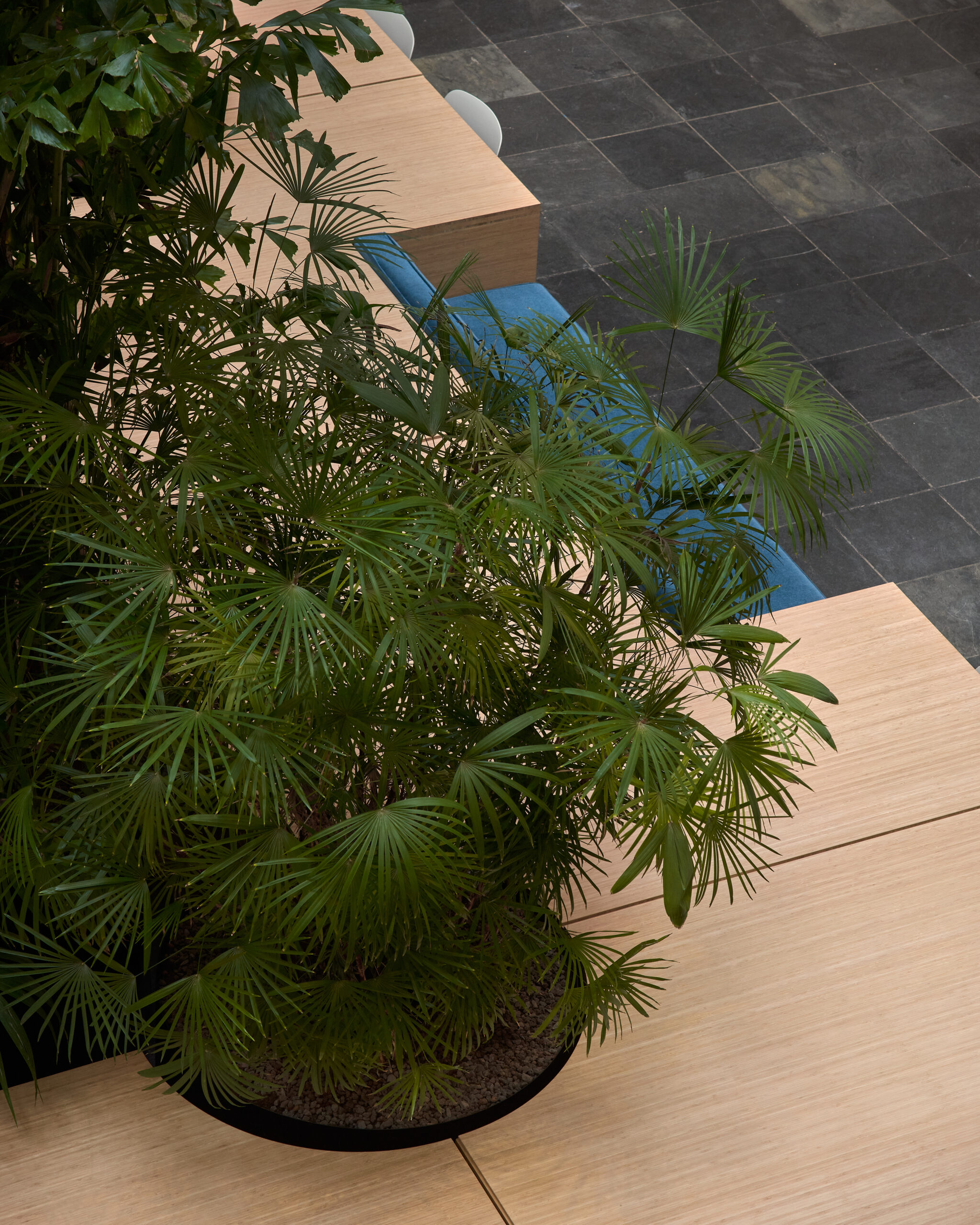 Beeld Max Hart Nibbrig