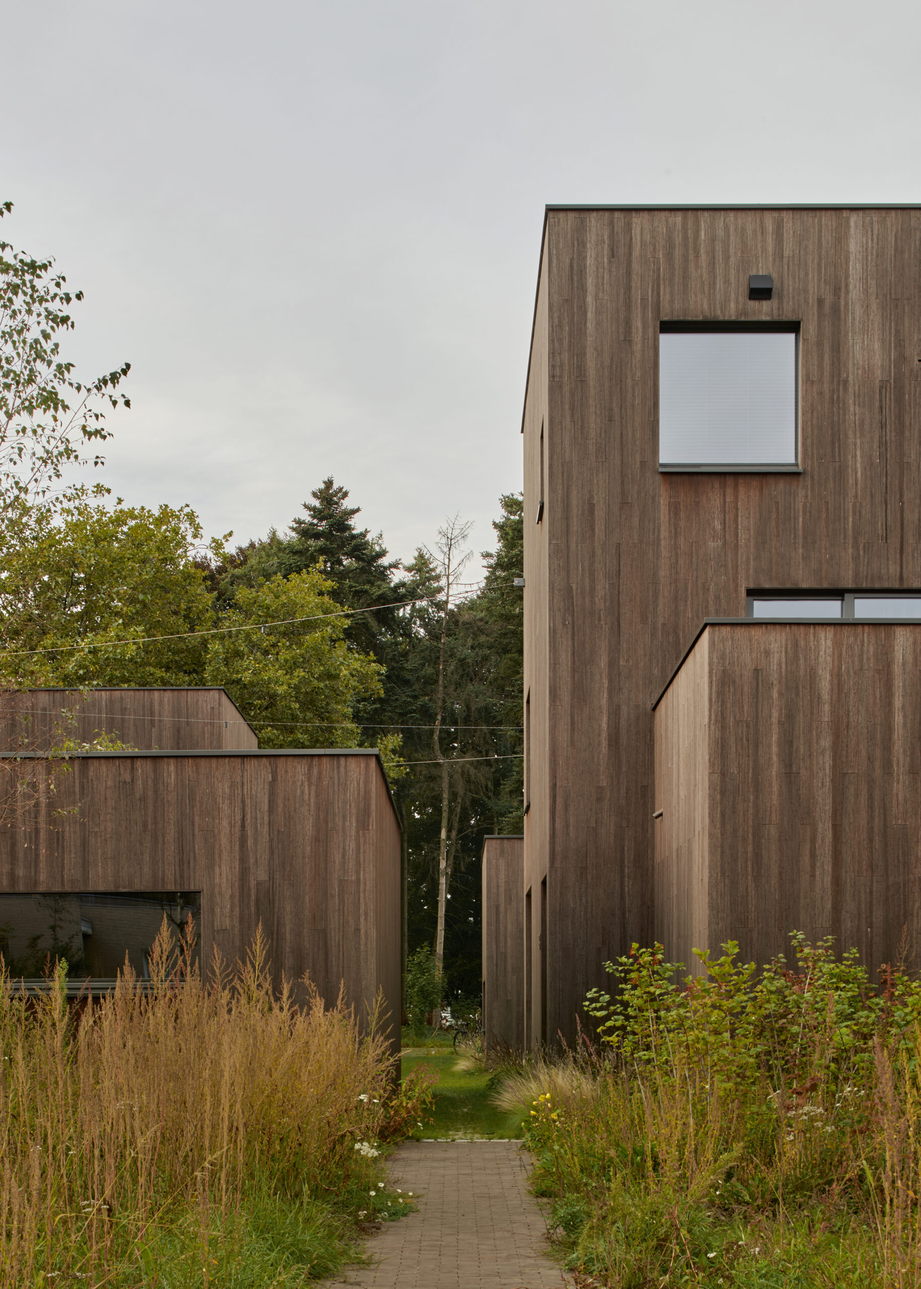 Beeld Max Hart Nibbrig