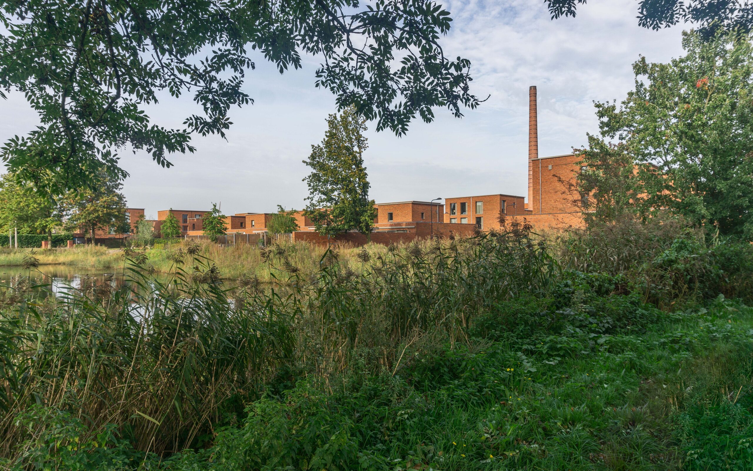 Beeld Mariëlle Knops