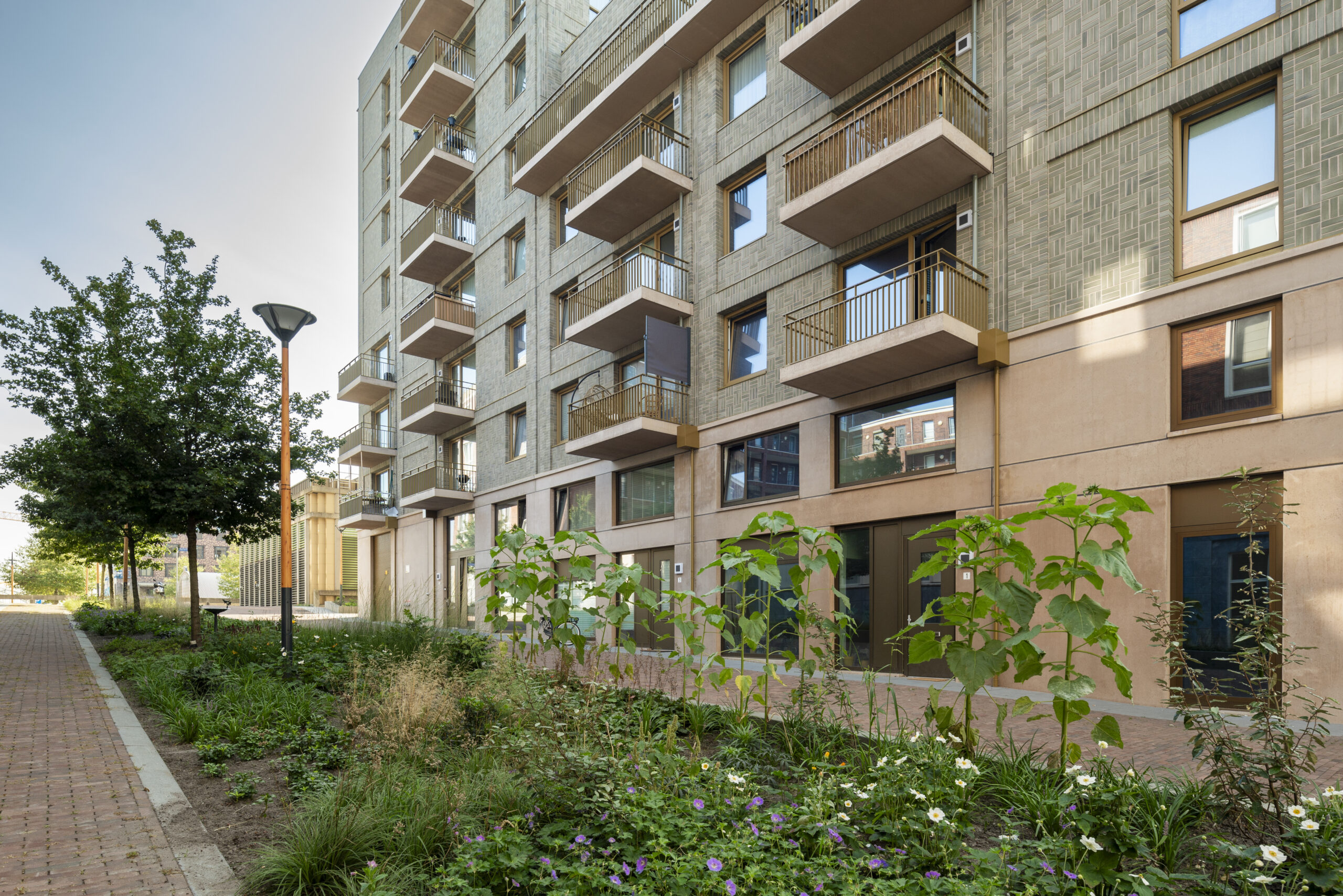 Beeld Loes van Duijvendijk