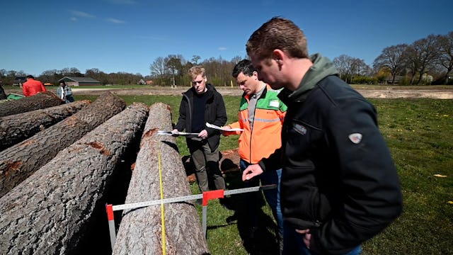 Beeld Aiste Rakauskaite
