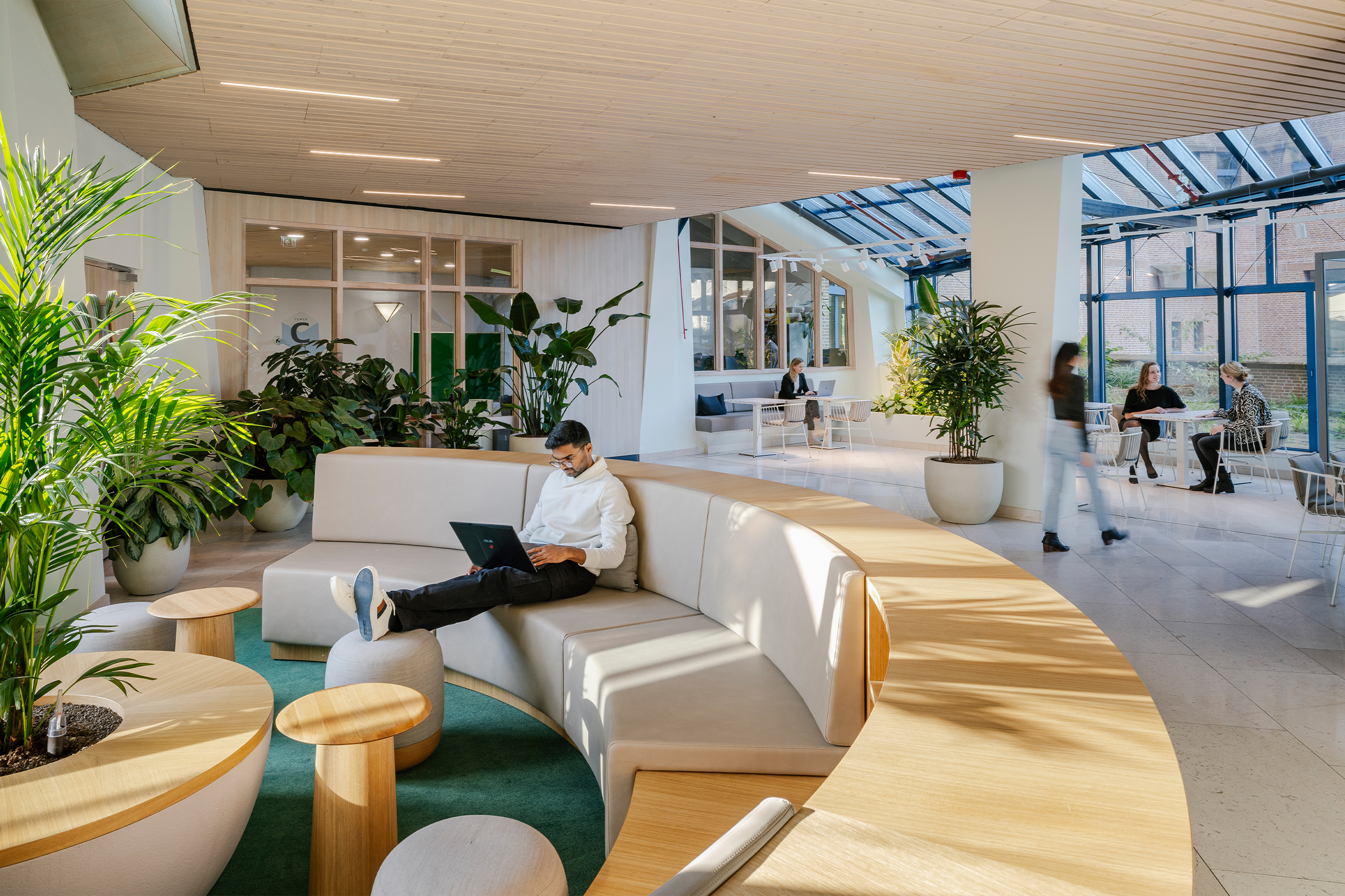 Beeld Adam van Noort