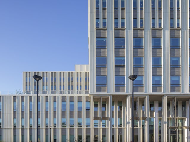 Beeld Scagliola Brakkee