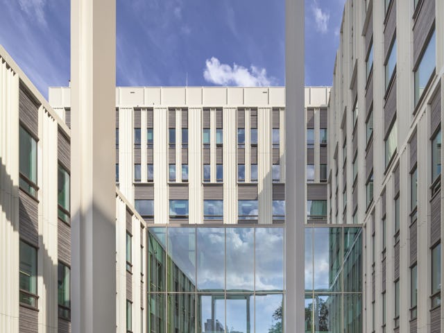 Beeld Scagliola Brakkee