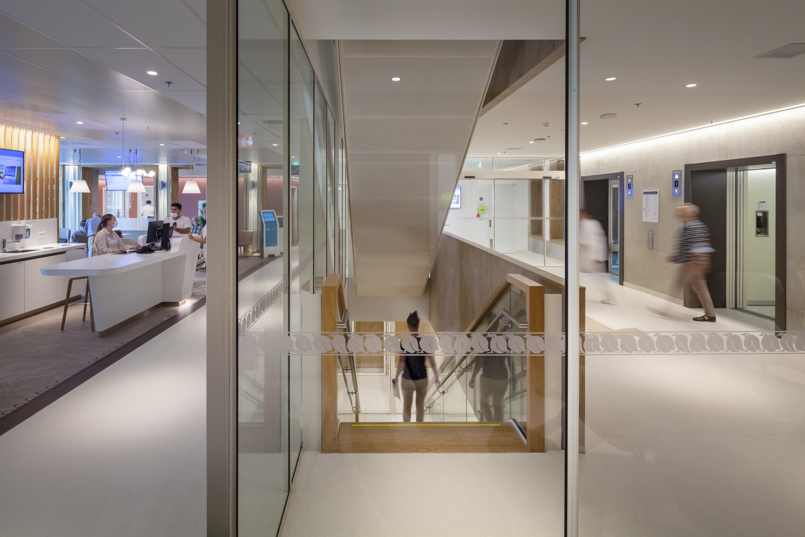 Beeld Scagliola Brakkee