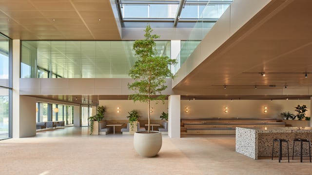 Beeld Matthijs van Roon