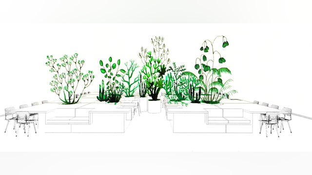 Beeld bureau Ira Koers & studio Roelof Mulder