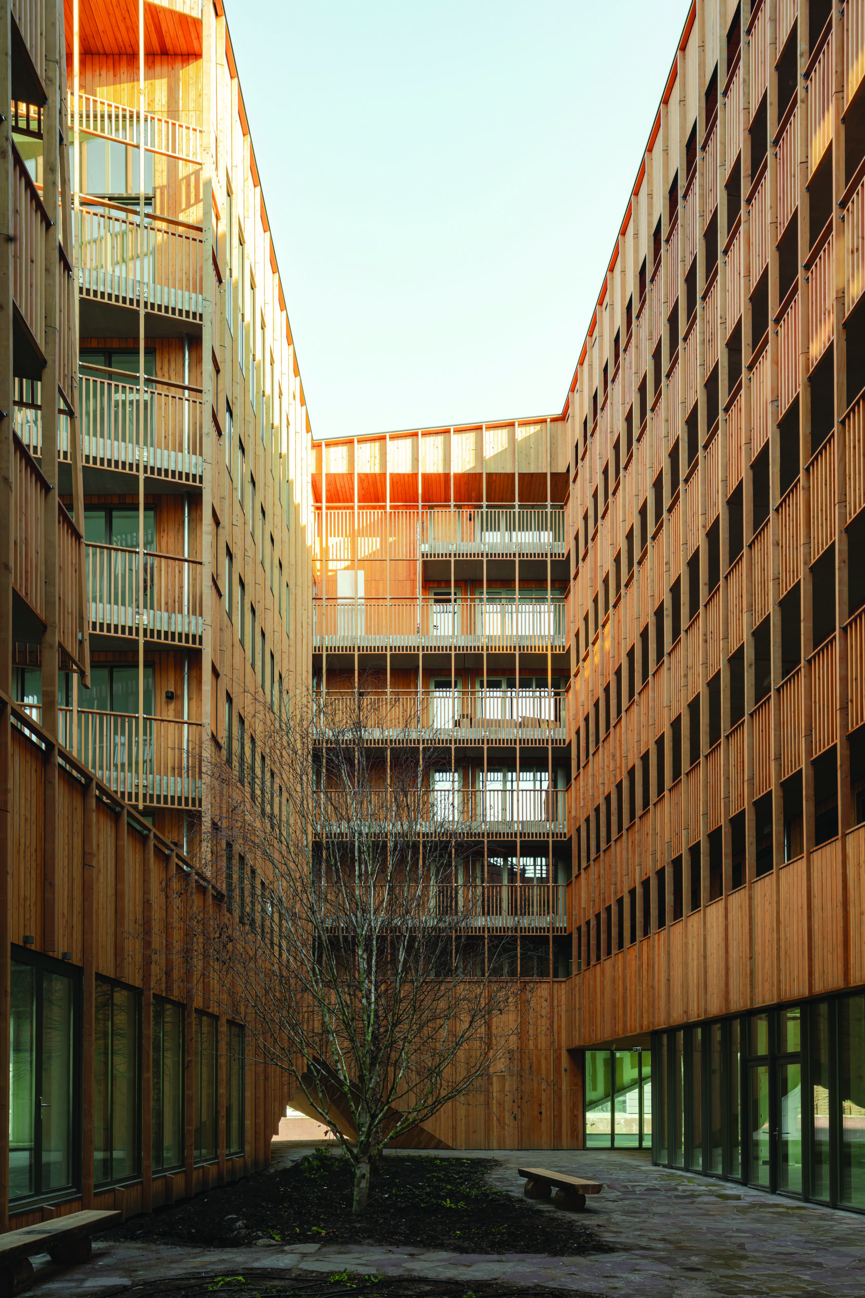 Beeld Sebastian van Damme