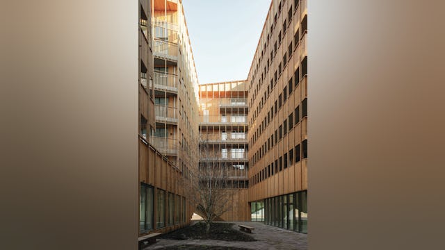 Beeld Sebastian van Damme