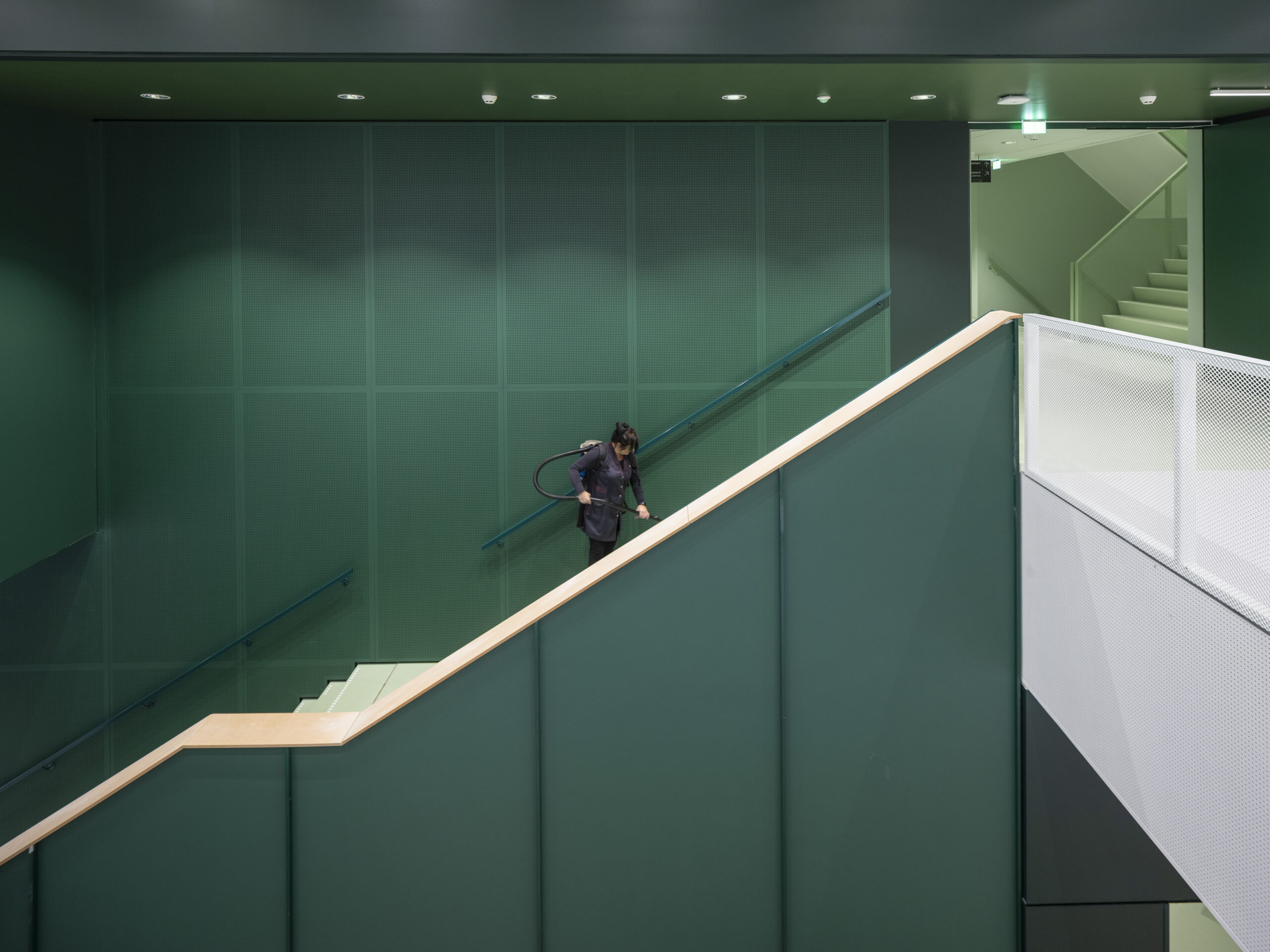 Beeld Hollandse Nieuwe