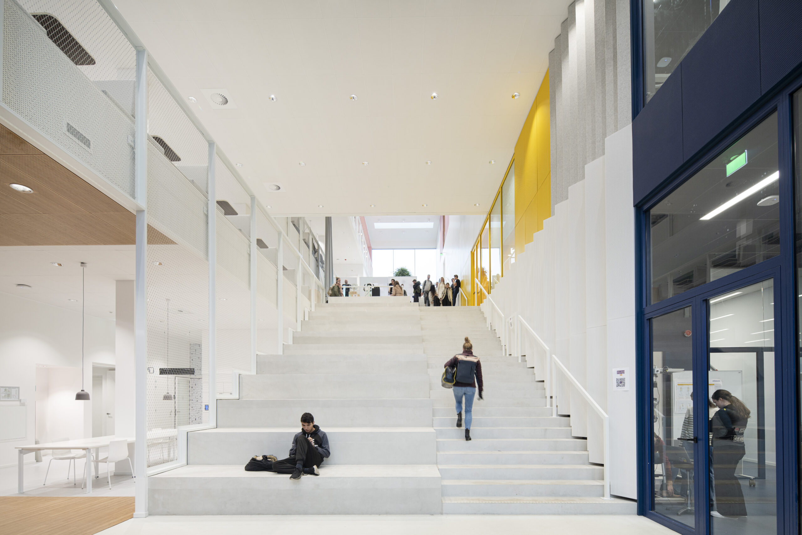 Beeld Hollandse Nieuwe