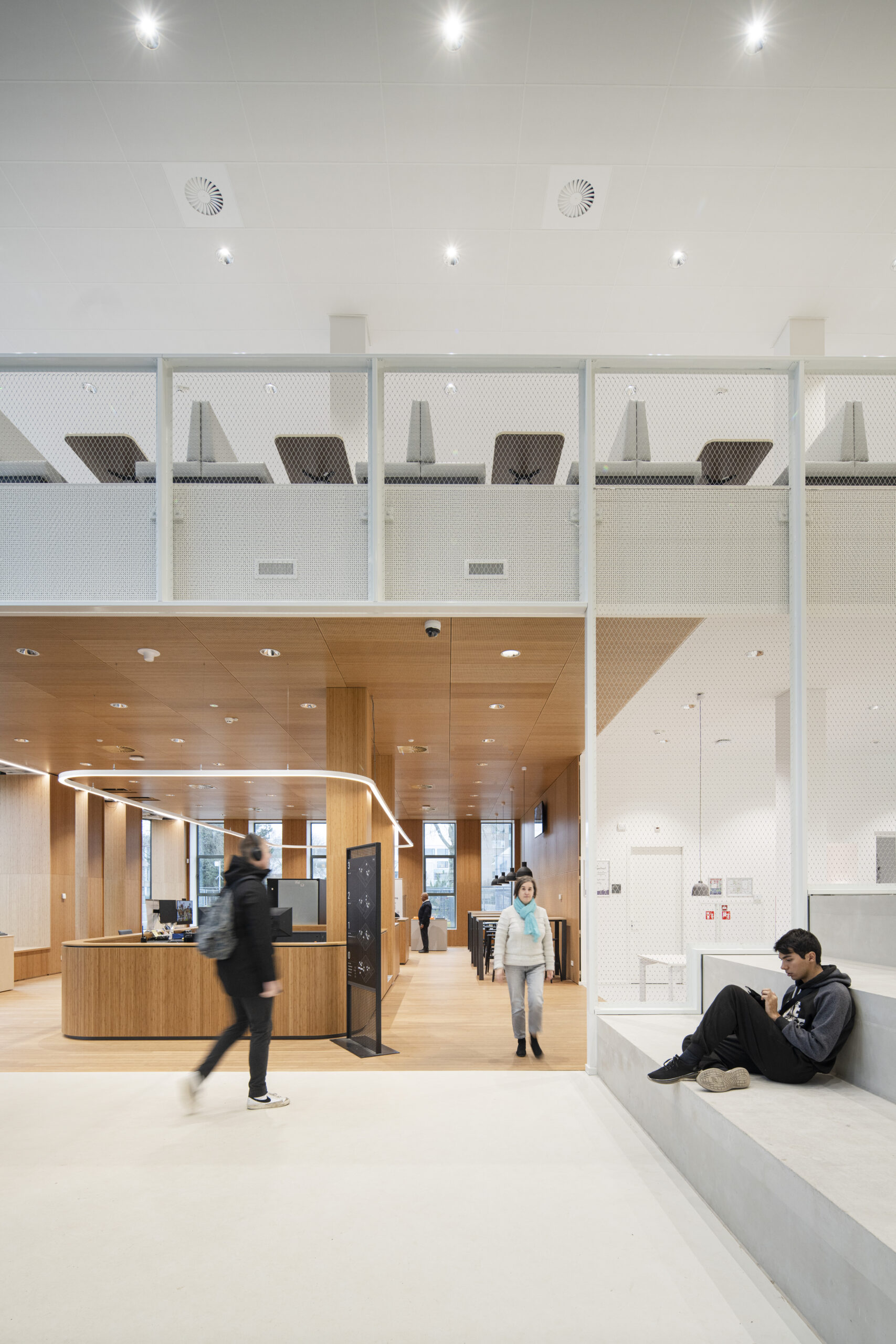 Beeld Hollandse Nieuwe