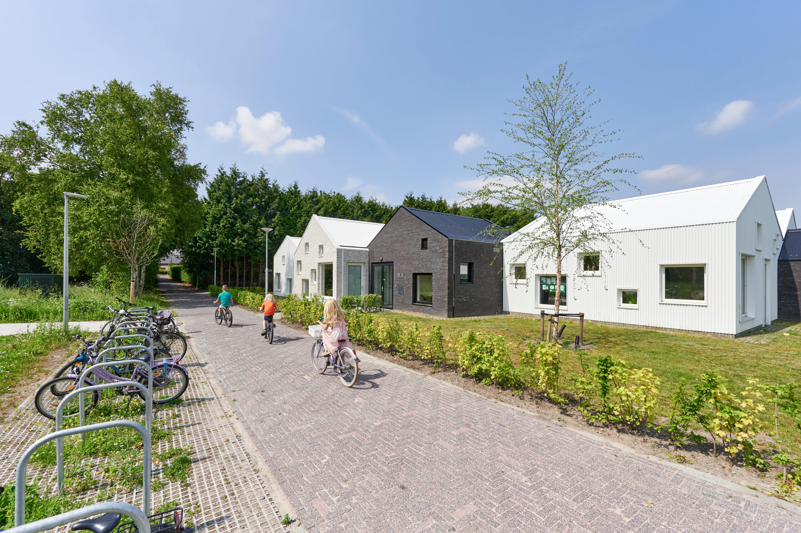 Klein Engelbert. Beeld Ronald Zijlstra