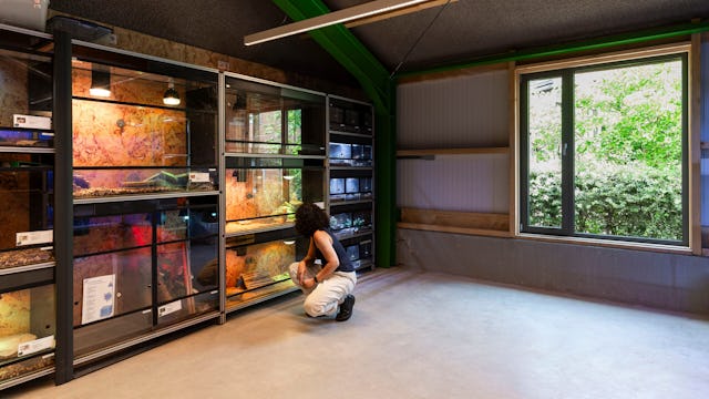 Beeld Loes van Duijvendijk