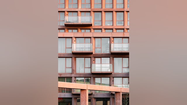 Beeld Sebastian van Damme