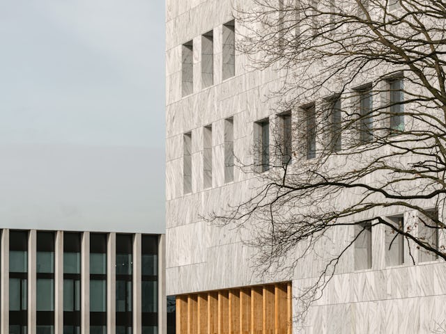 Beeld Sebastian van Damme