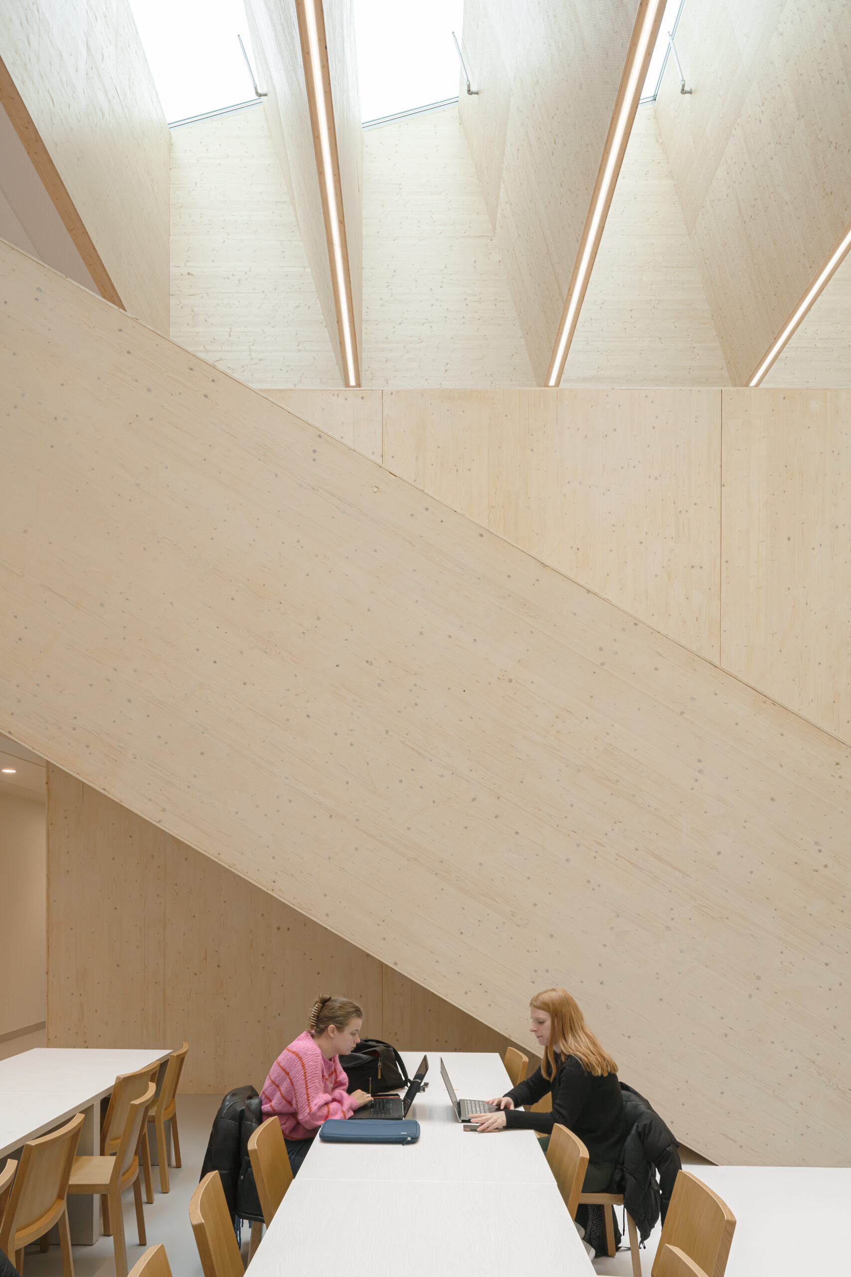 Beeld Sebastian van Damme