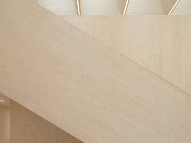 Beeld Sebastian van Damme