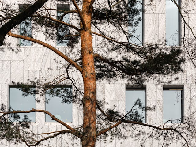 Beeld Sebastian van Damme