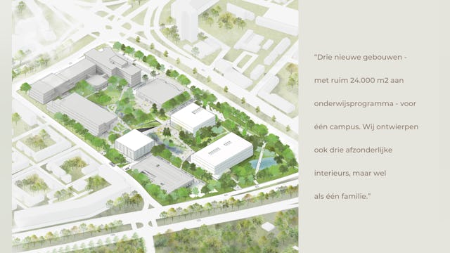 Beeld Hollandse Nieuwe