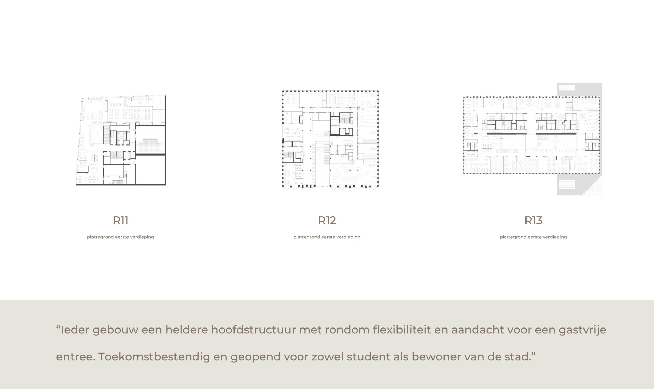 Beeld Hollandse Nieuwe
