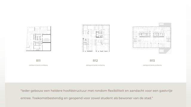 Beeld Hollandse Nieuwe