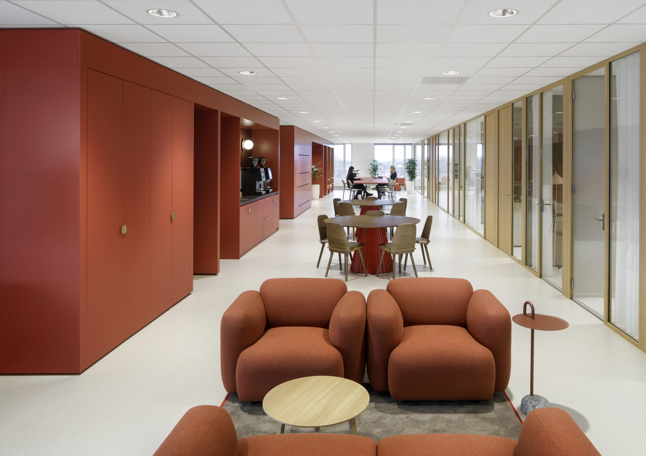 Beeld Hollandse Nieuwe