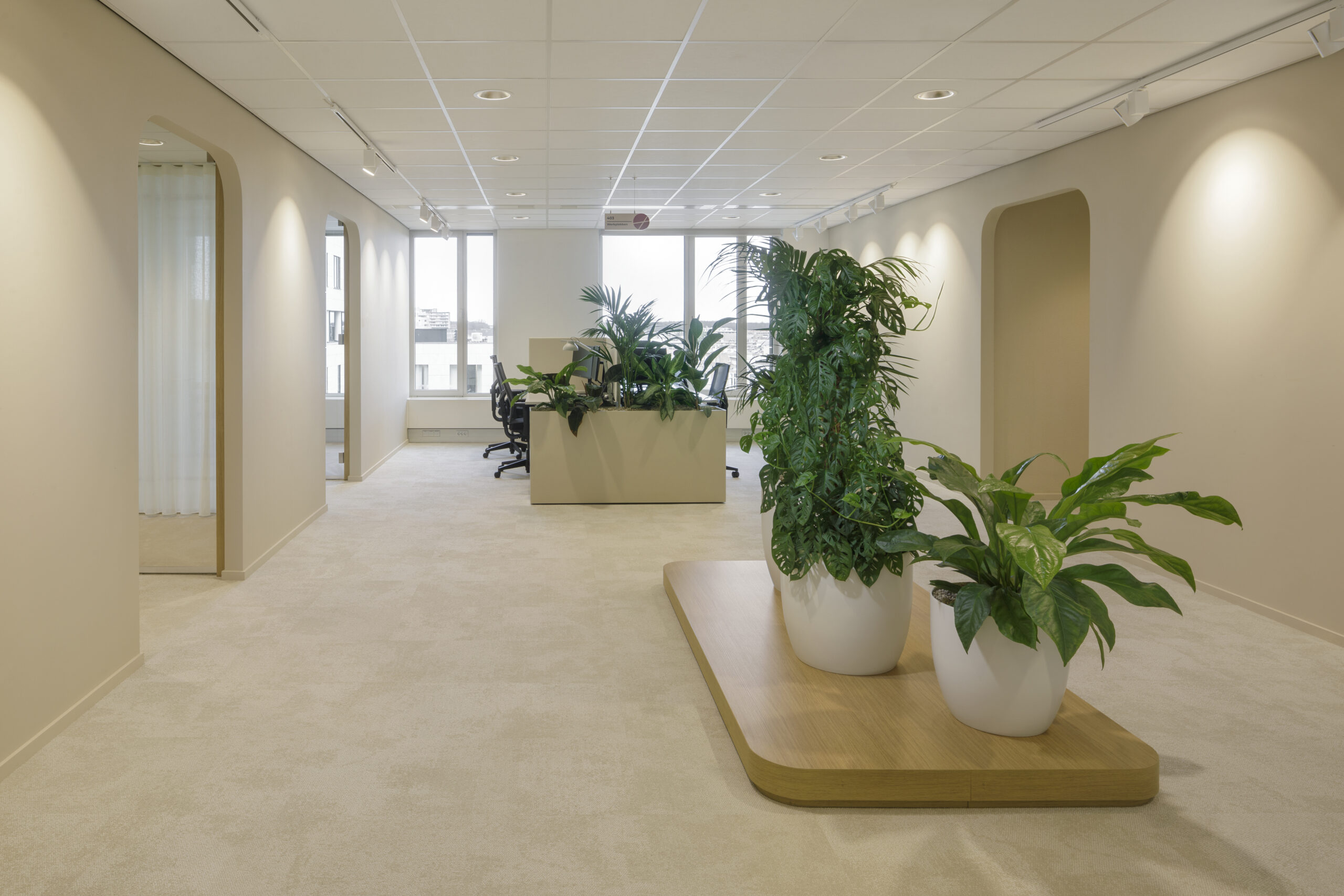 Beeld Hollandse Nieuwe