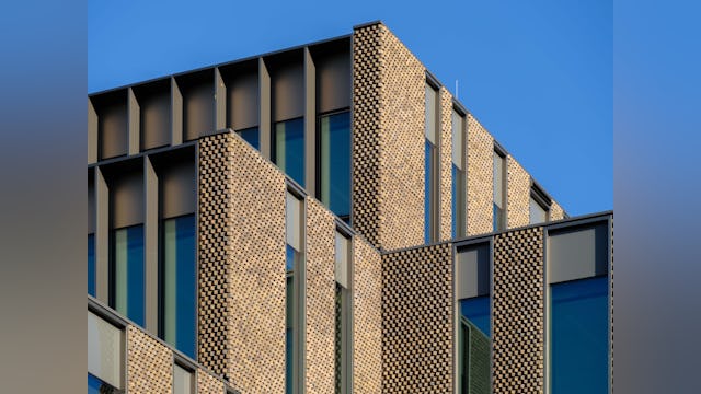 Beeld Ossip van Duivenbode