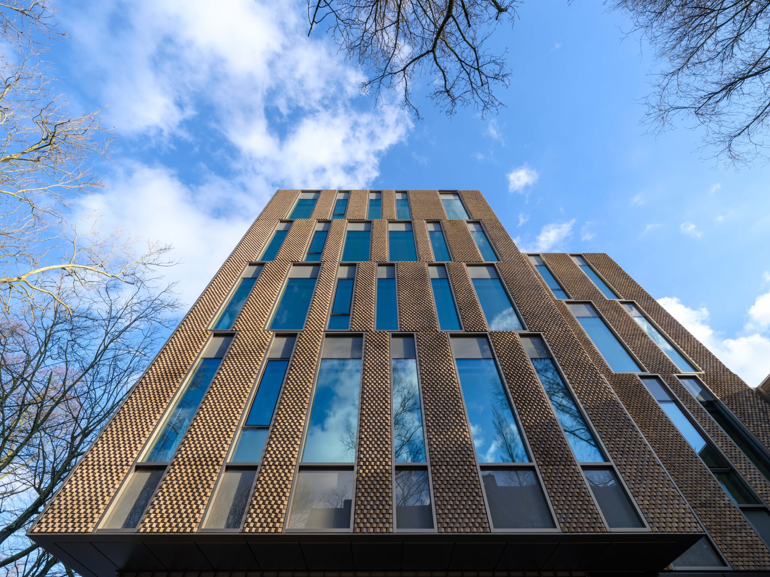 Beeld Ossip van Duivenbode