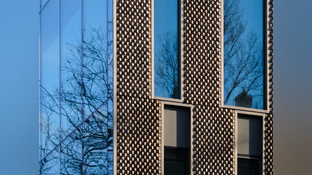 Beeld Ossip van Duivenbode