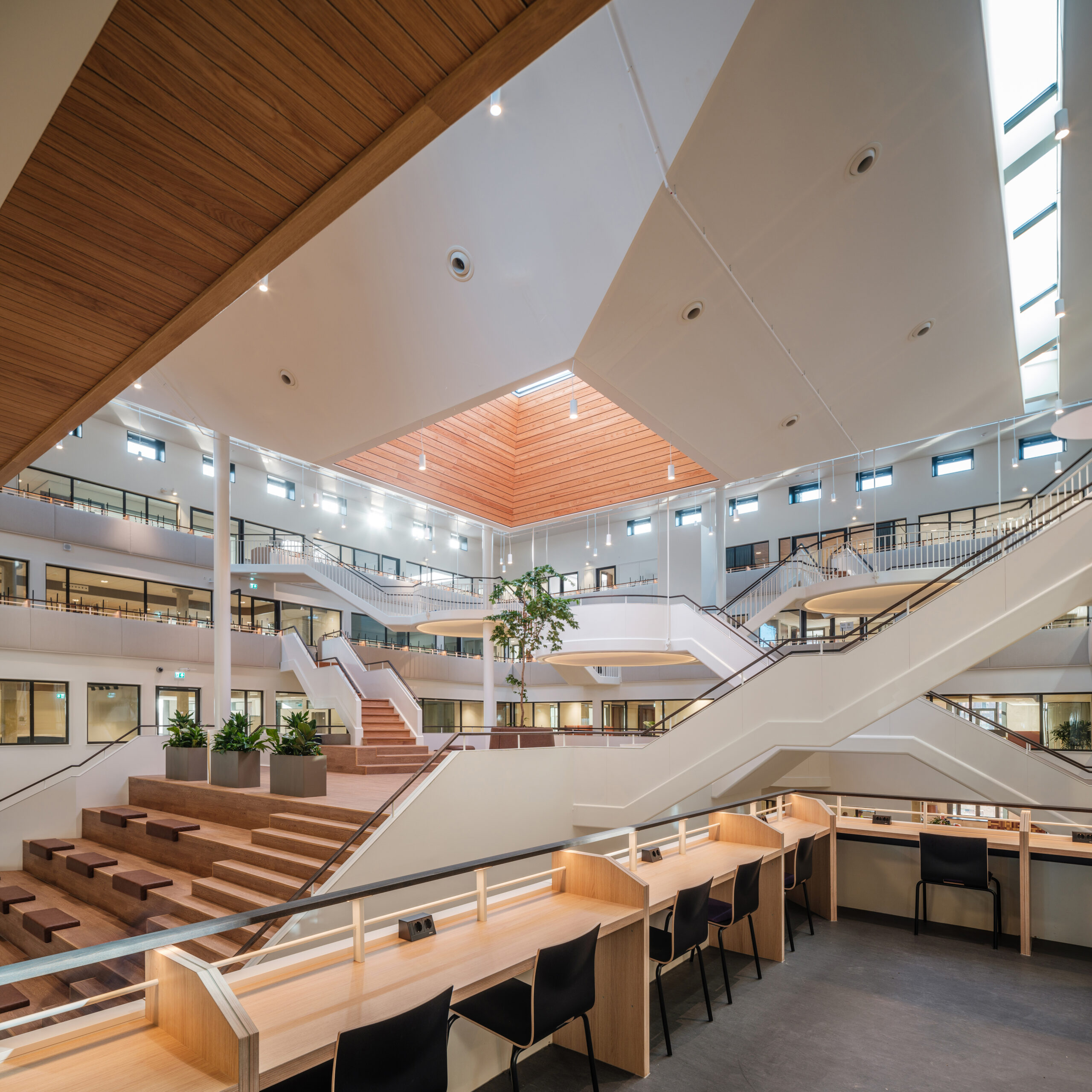 Beeld Ernst van Raaphorst