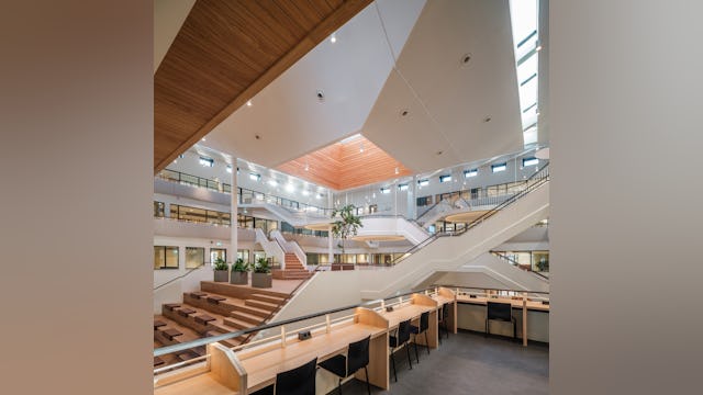 Beeld Ernst van Raaphorst