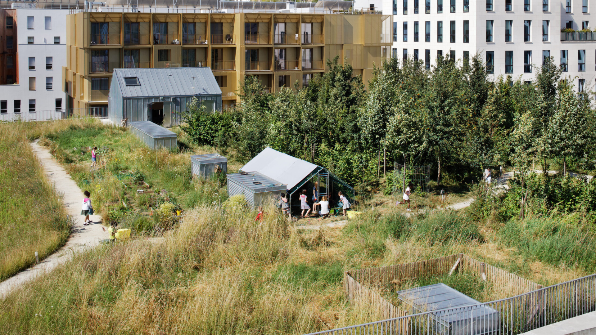 École des sciences et de la biodiversité. Beeld Takuji Shimmura